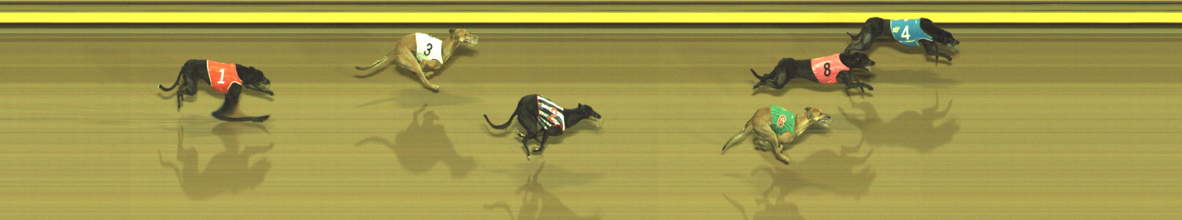Photo finish for Geelong Race 8