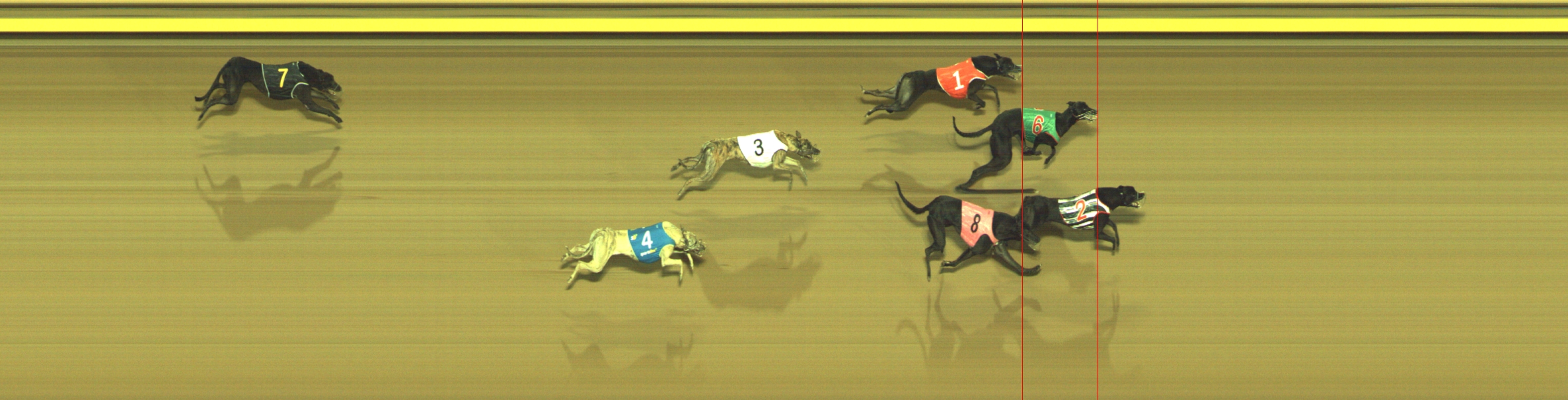 Photo finish for Geelong Race 9
