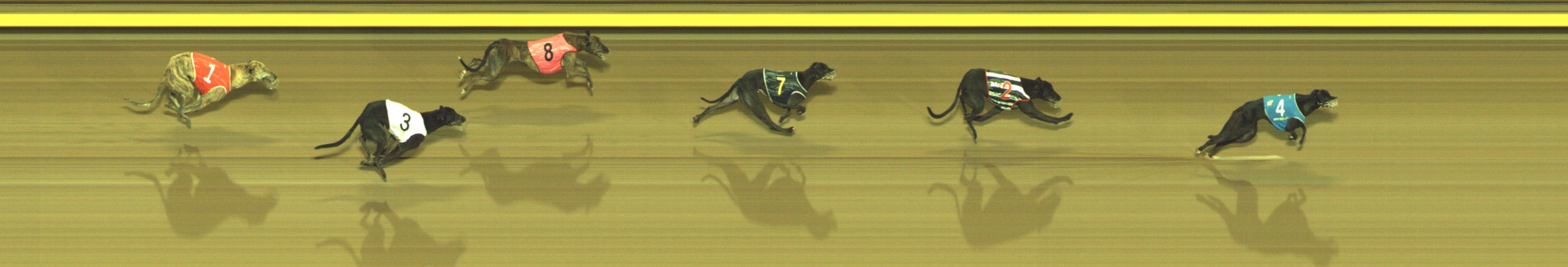 Photo finish for Geelong Race 10