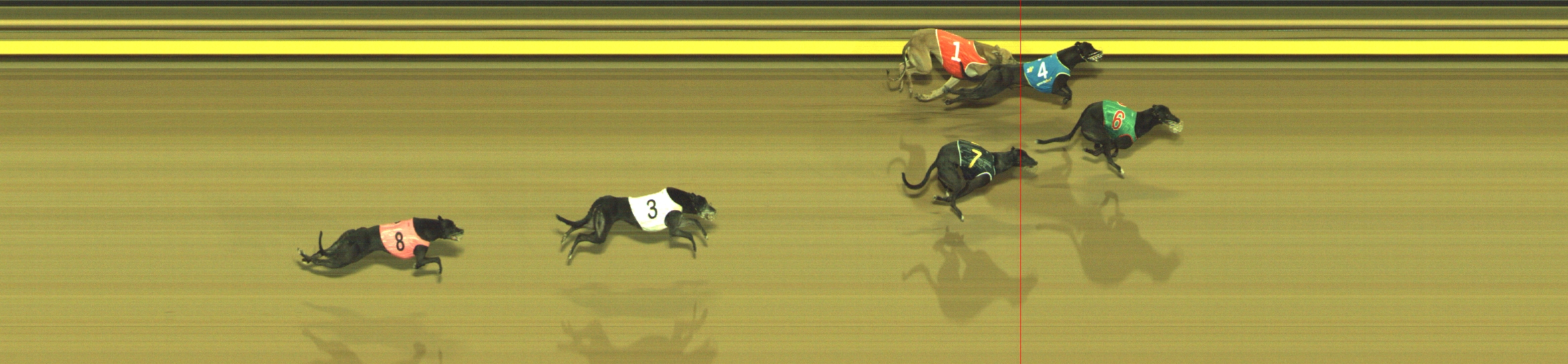 Photo finish for Geelong Race 11