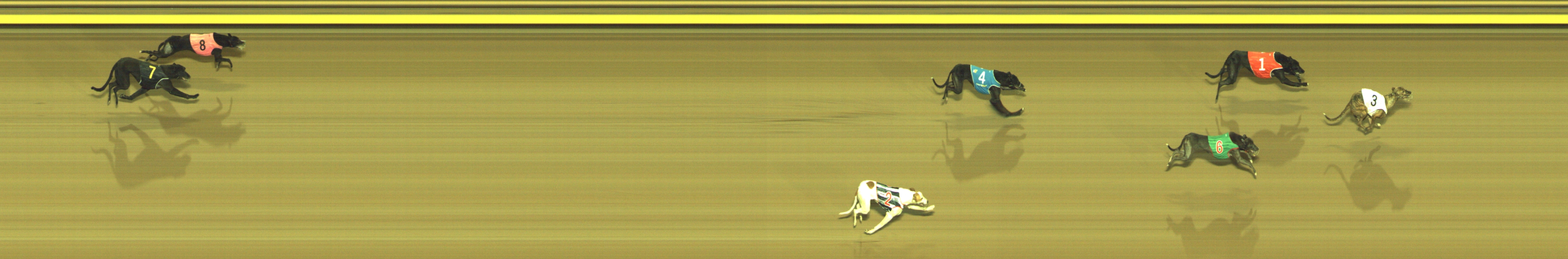 Photo finish for Geelong Race 12