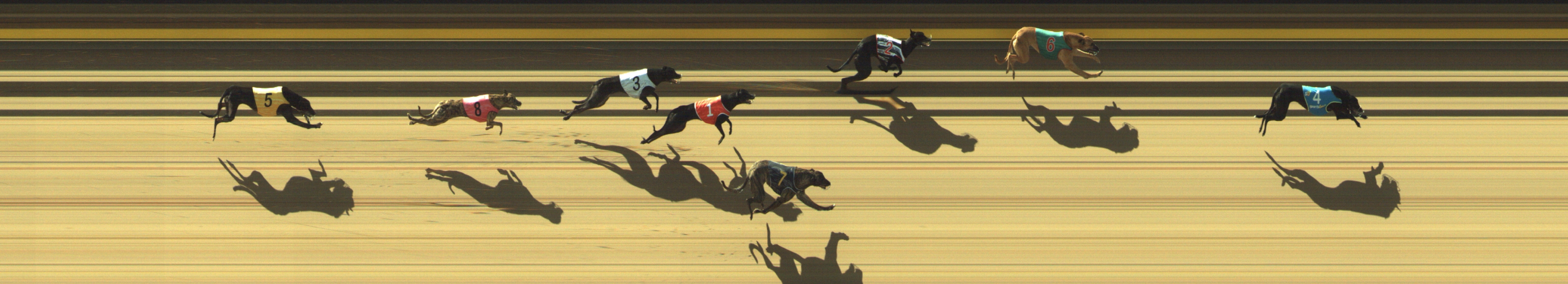 Race result finish photo