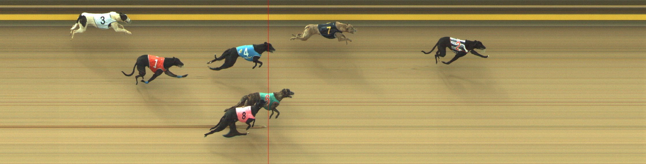 Race result finish photo
