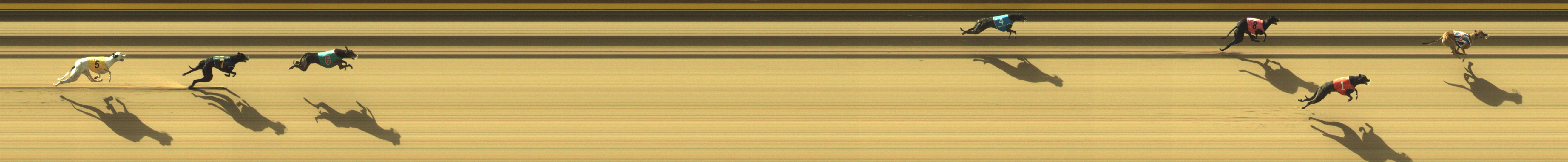 Photo finish for Geelong Race 3