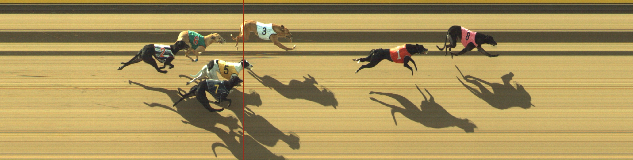 Photo finish for Geelong Race 4
