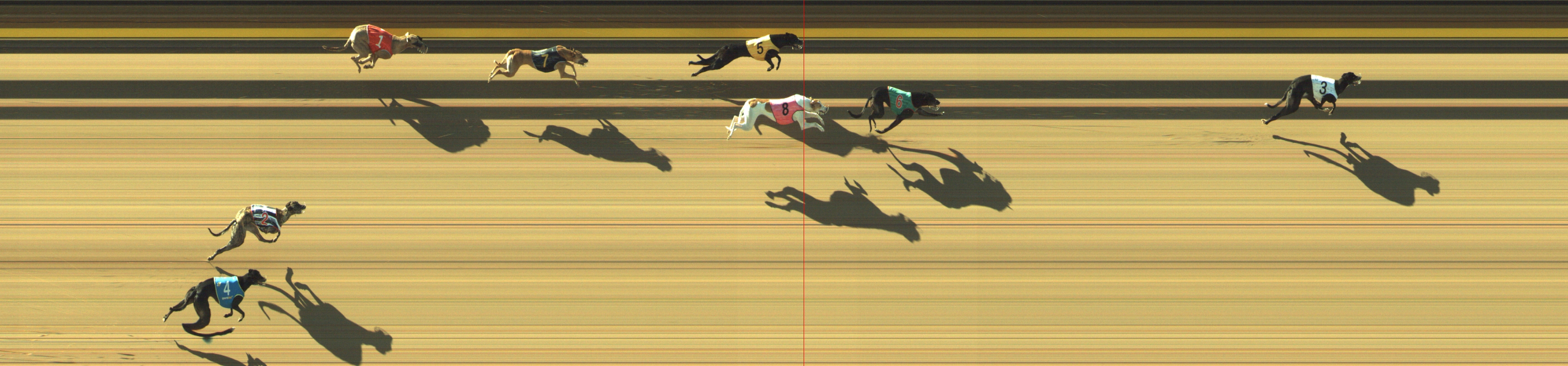 Photo finish for Geelong Race 5