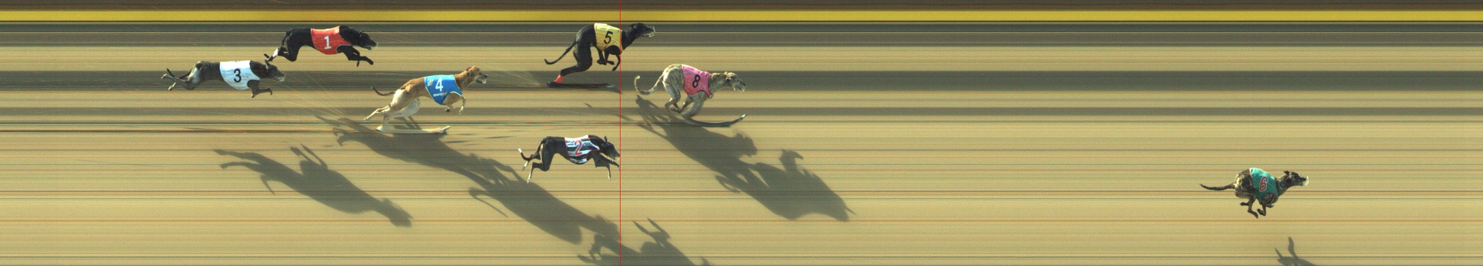 Photo finish for Geelong Race 6