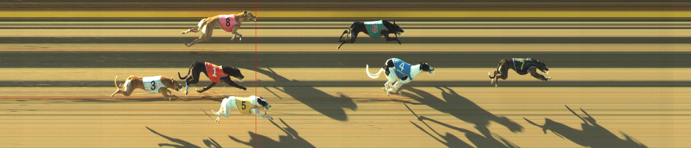 Photo finish for Geelong Race 7