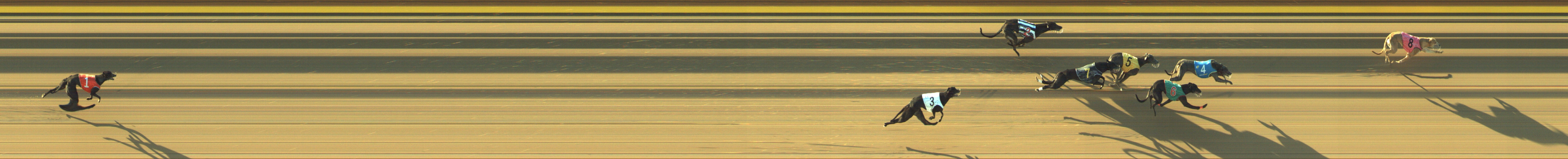 Photo finish for Geelong Race 8