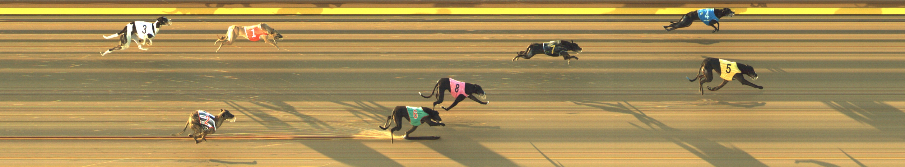 Photo finish for Geelong Race 9