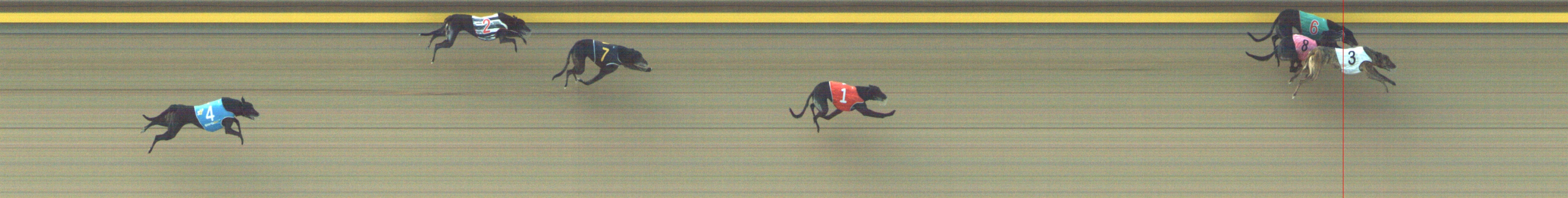 Photo finish for Geelong Race 10