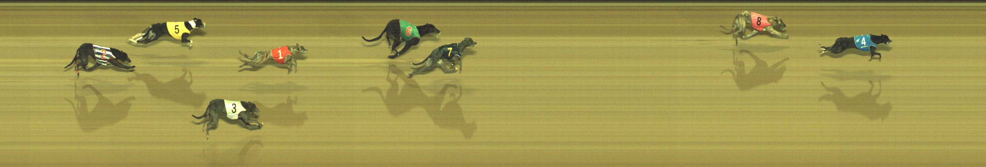 Photo finish for Geelong Race 12