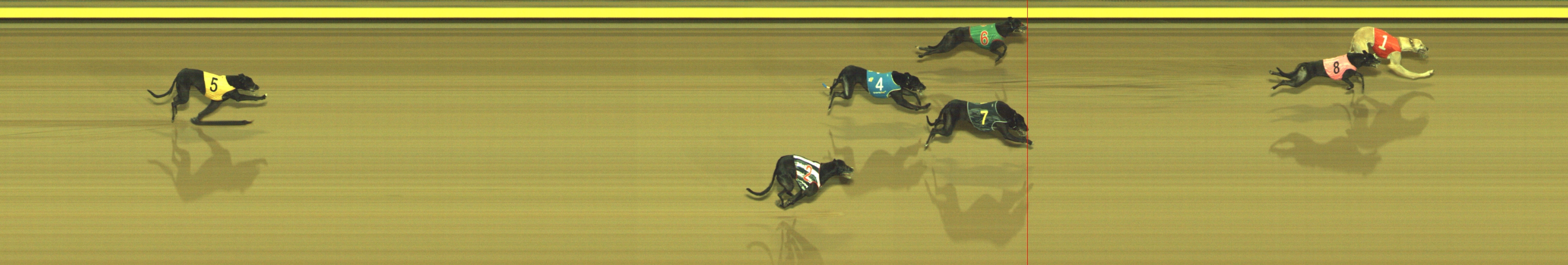 Photo finish for Geelong Race 13