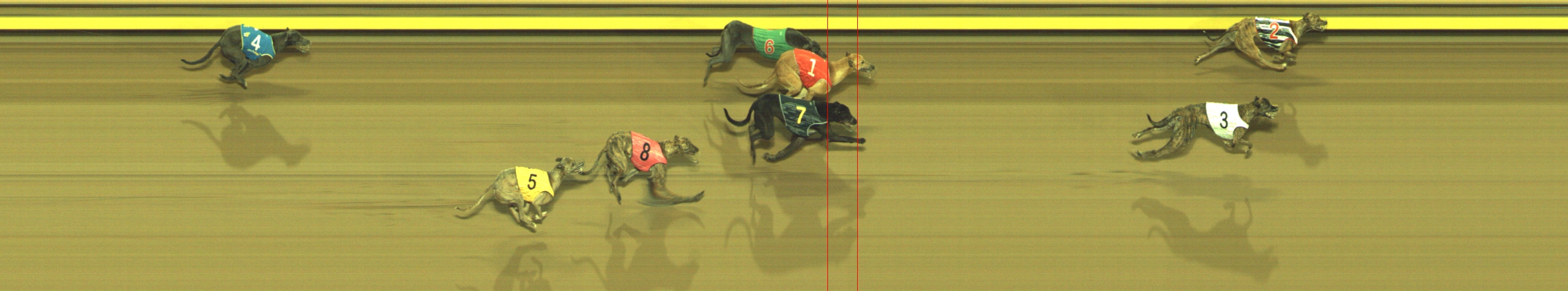 Race result finish photo