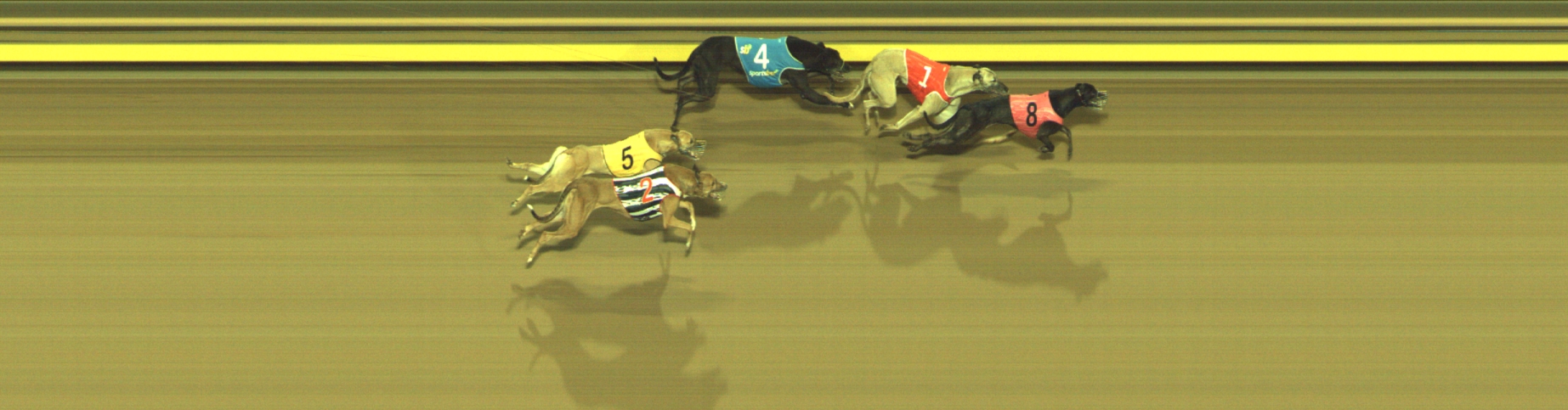 Photo finish for Geelong Race 3