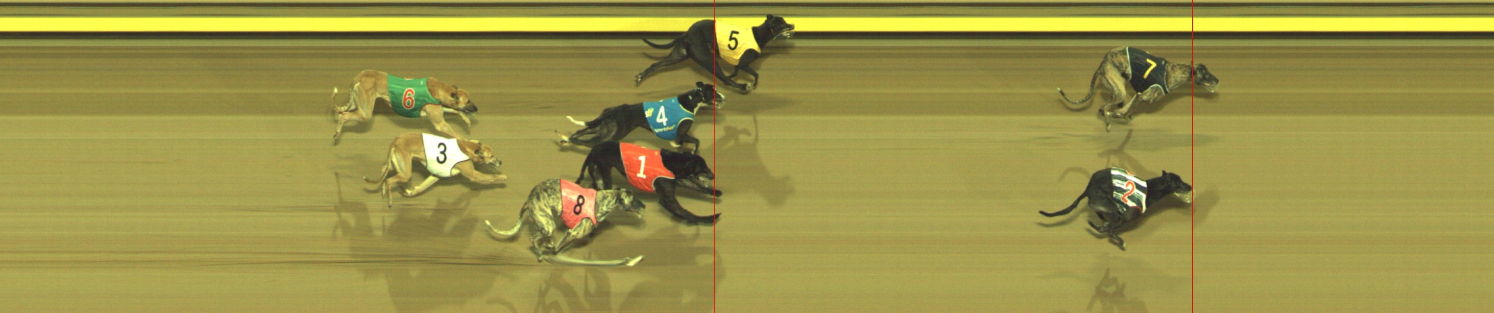 Photo finish for Geelong Race 4