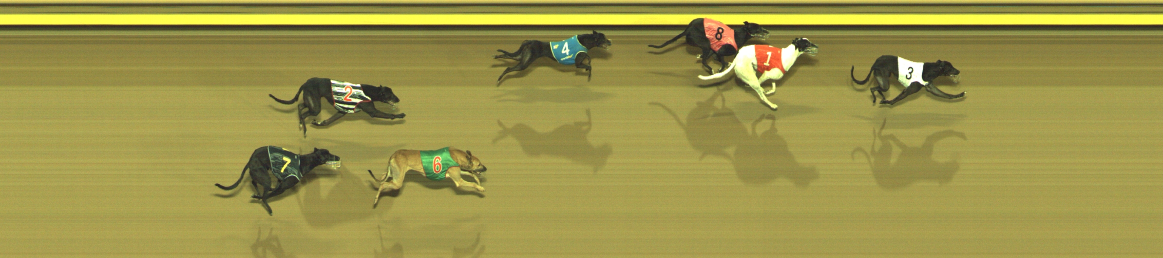 Photo finish for Geelong Race 5