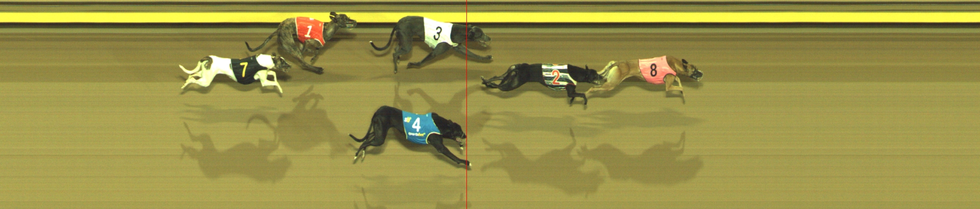 Photo finish for Geelong Race 6