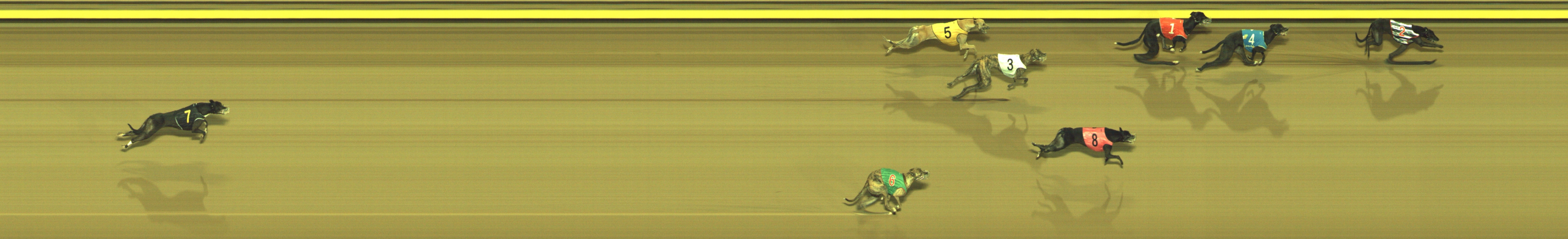 Photo finish for Geelong Race 7