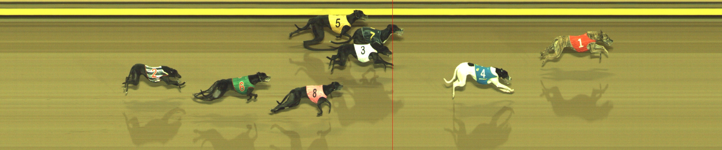 Photo finish for Geelong Race 8