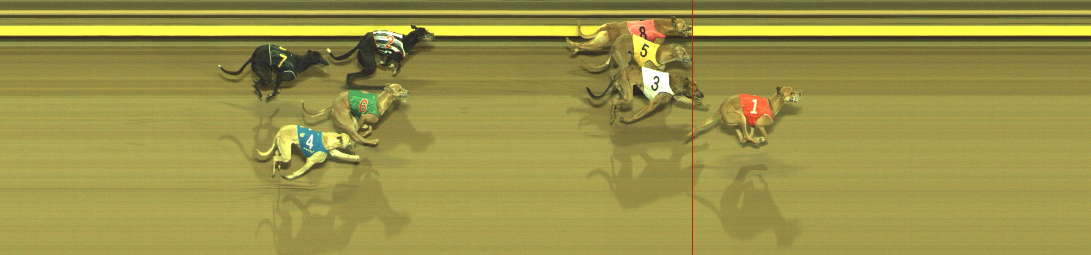 Photo finish for Geelong Race 9