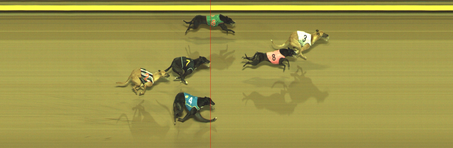 Photo finish for Geelong Race 10