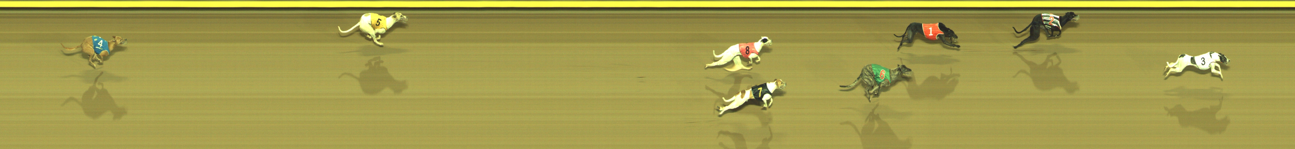 Photo finish for Geelong Race 11