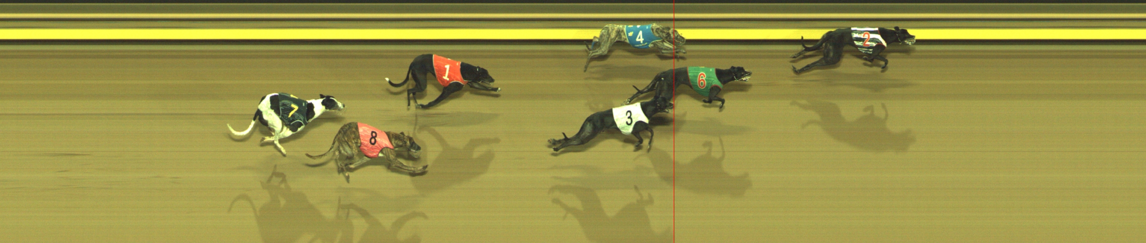 Photo finish for Geelong Race 12