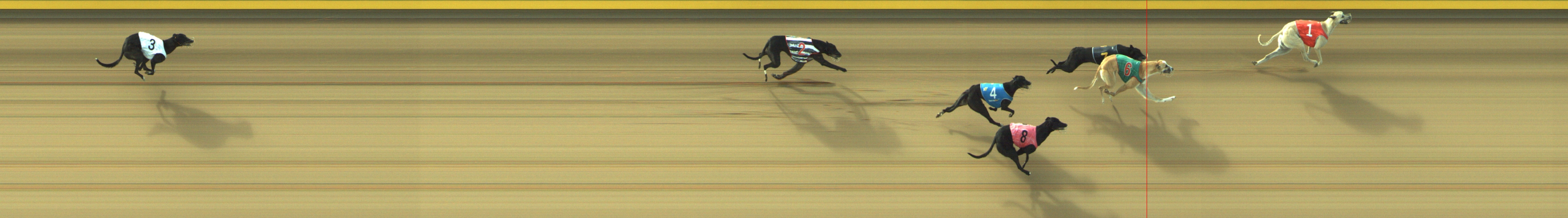 Race result finish photo