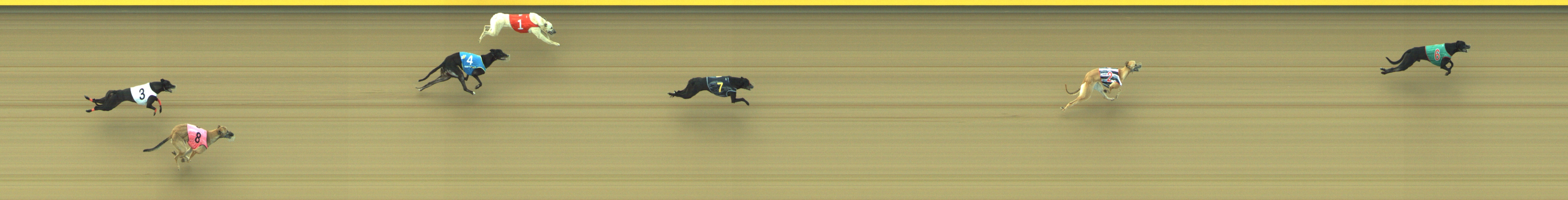 Photo finish for Geelong Race 2