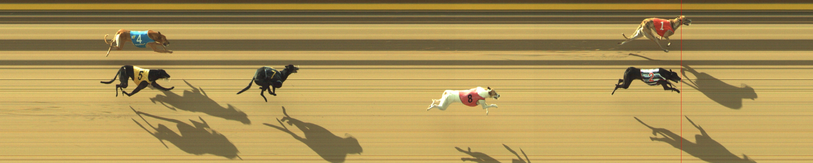 Photo finish for Geelong Race 3