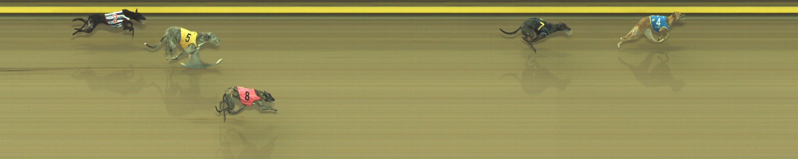 Photo finish for Geelong Race 4