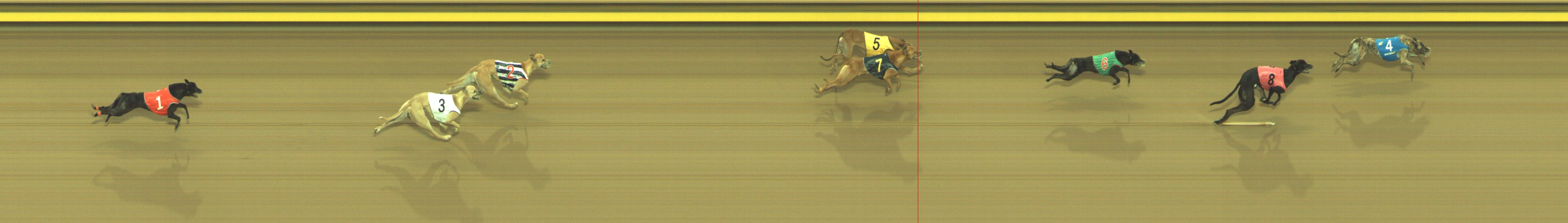Photo finish for Geelong Race 5