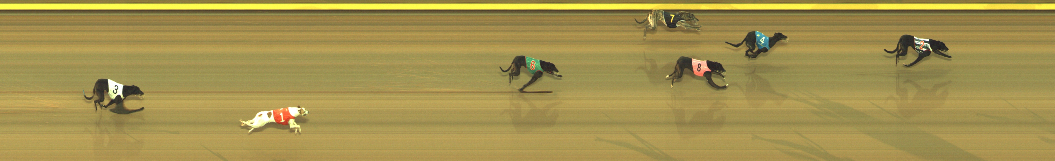 Photo finish for Geelong Race 6