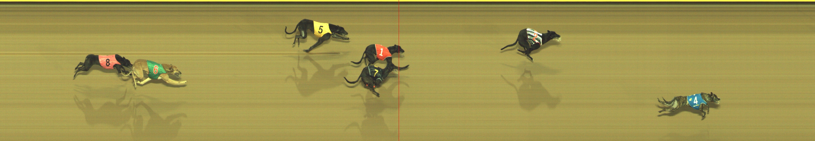Photo finish for Geelong Race 7
