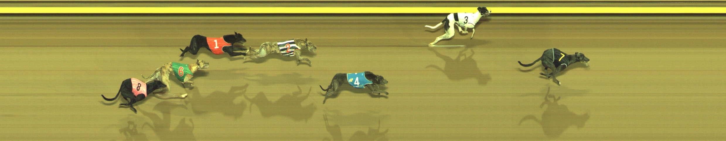 Photo finish for Geelong Race 8