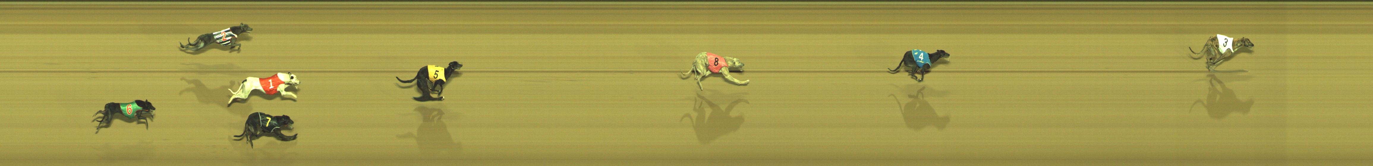Photo finish for Geelong Race 9