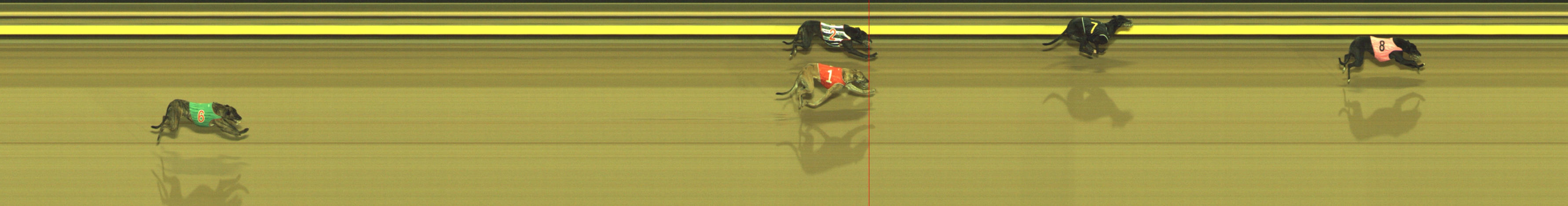 Photo finish for Geelong Race 10