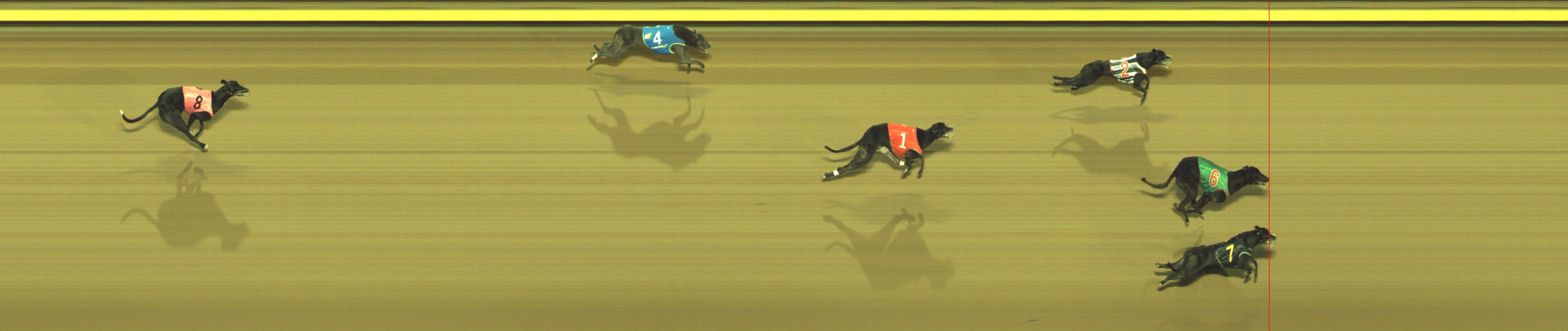 Photo finish for Geelong Race 11