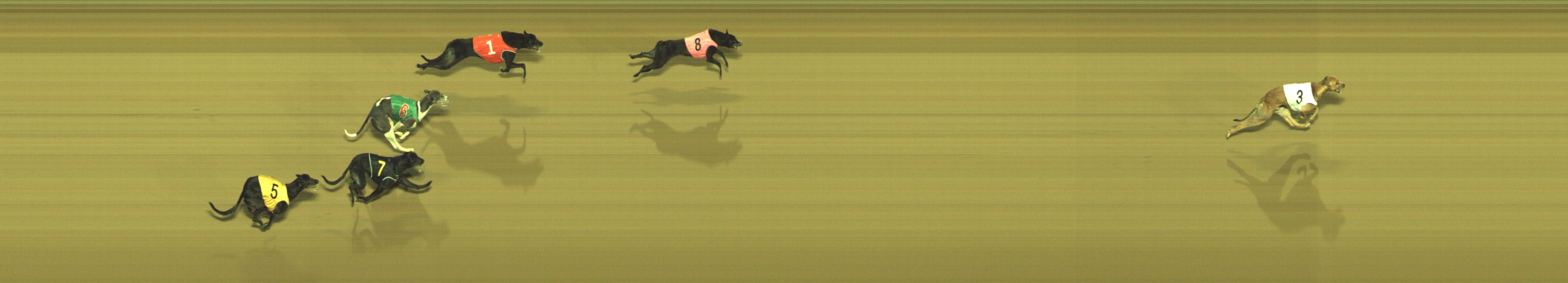 Photo finish for Geelong Race 12