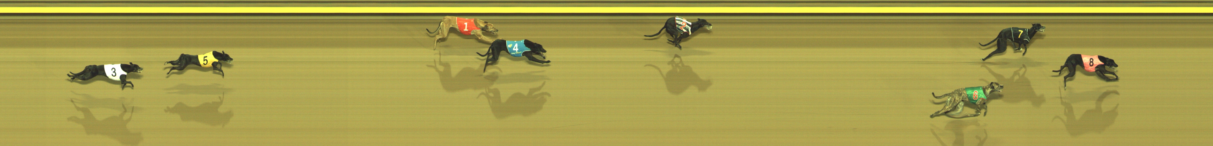 Photo finish for Geelong Race 1