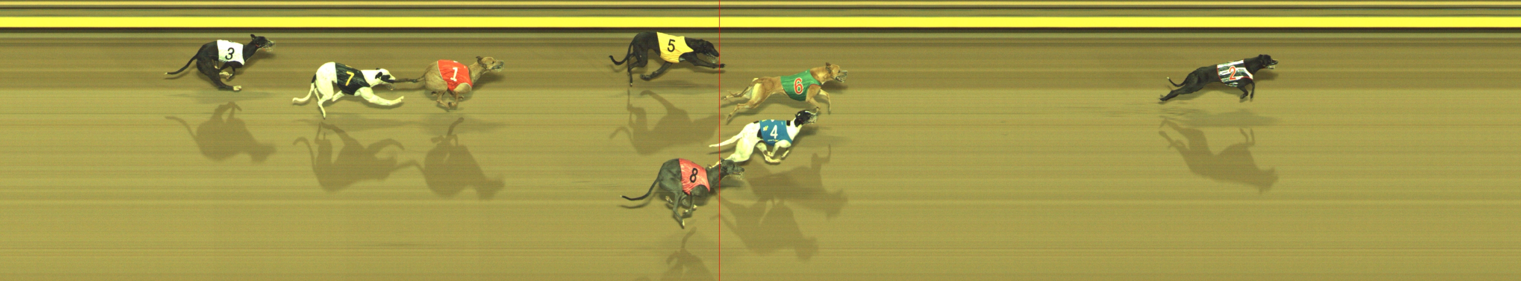 Photo finish for Geelong Race 2