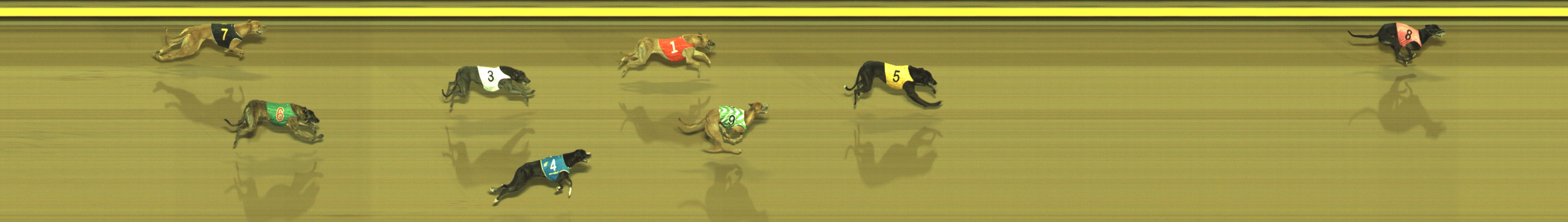 Photo finish for Geelong Race 3