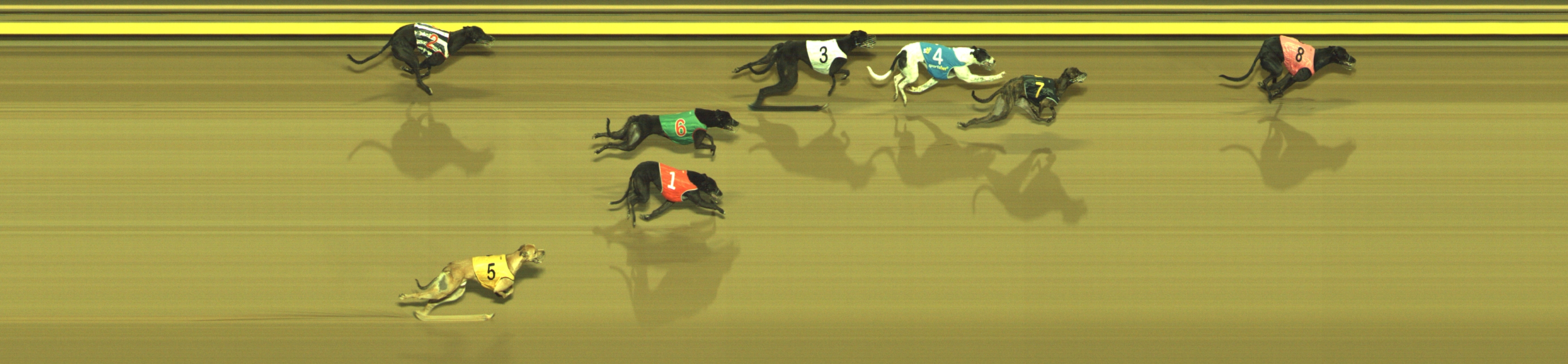 Photo finish for Geelong Race 4