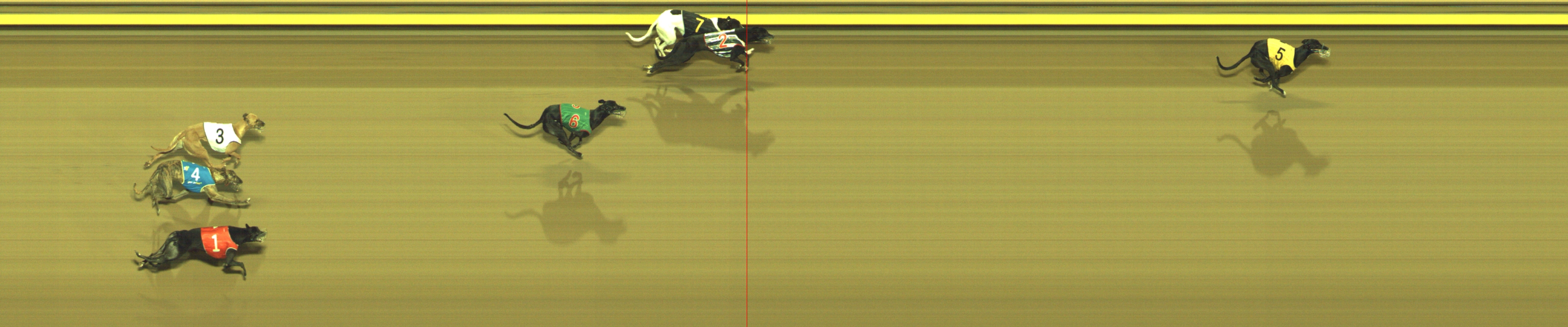 Photo finish for Geelong Race 5