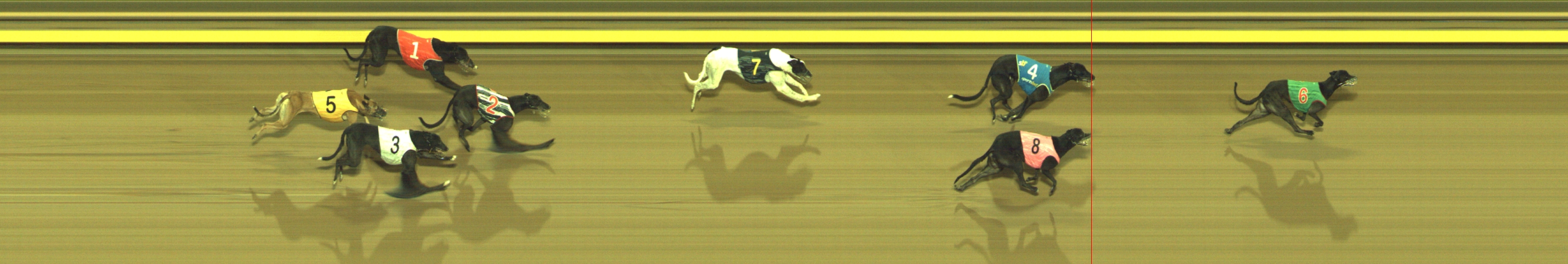 Photo finish for Geelong Race 6