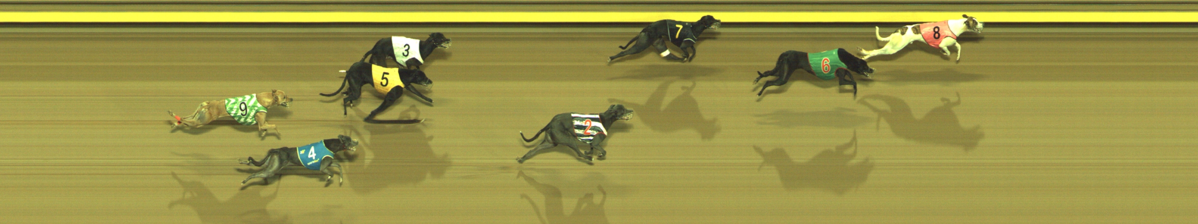 Photo finish for Geelong Race 8