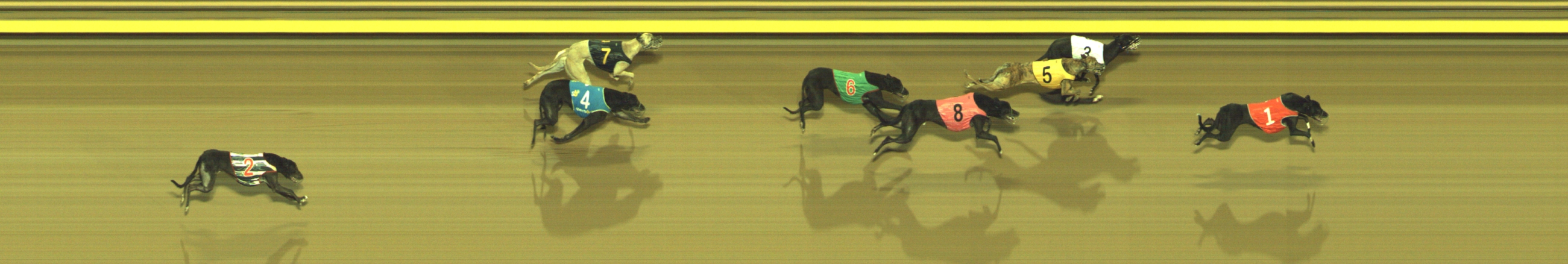 Photo finish for Geelong Race 9