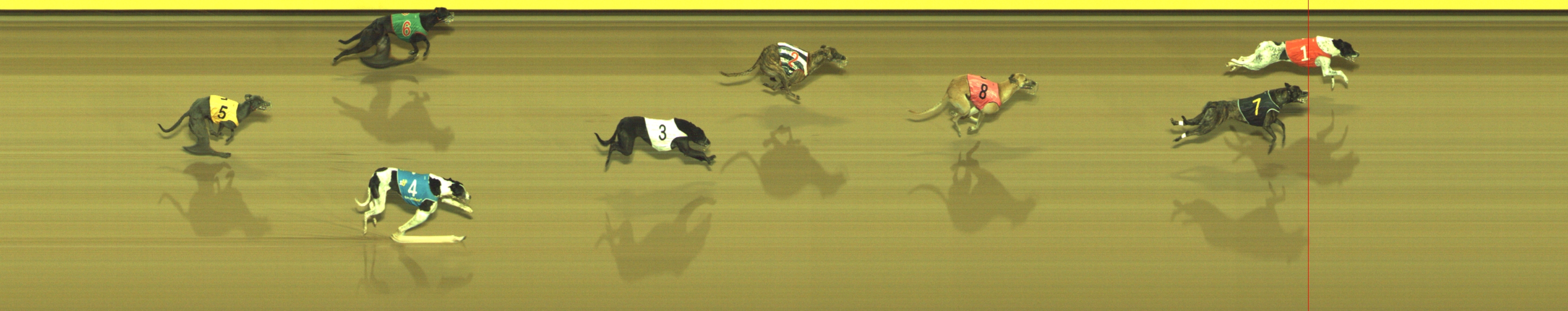 Photo finish for Geelong Race 10