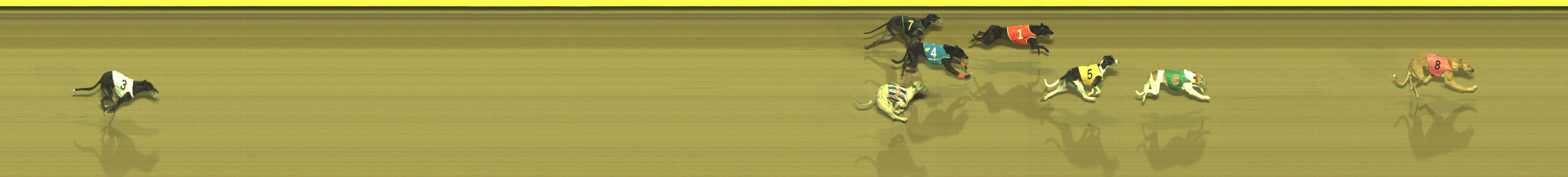 Photo finish for Geelong Race 11